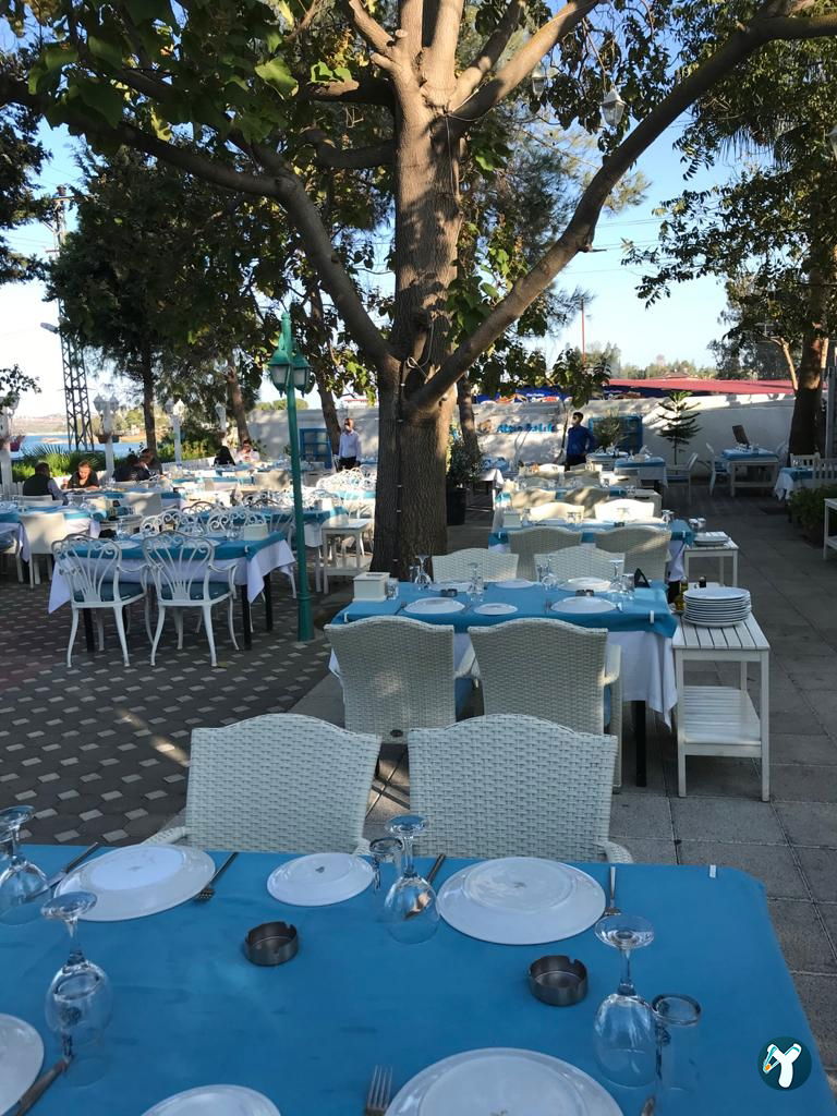 Altın Balık