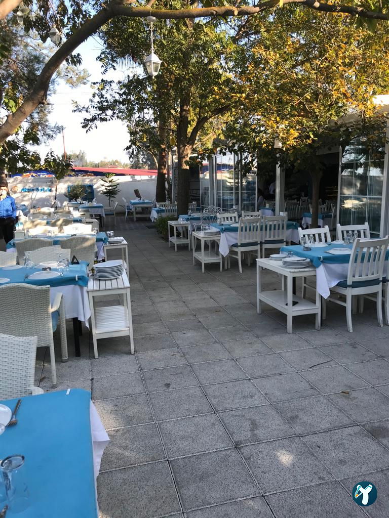 Altın Balık