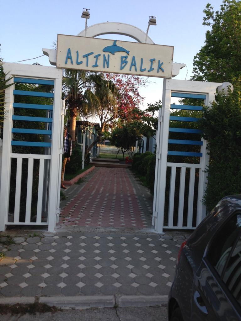 Altın Balık