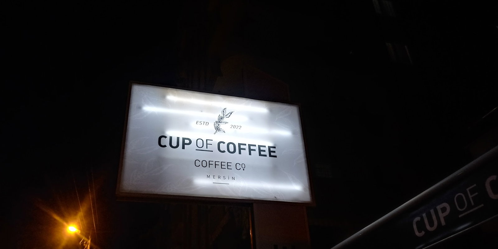 Cup Of Coffee