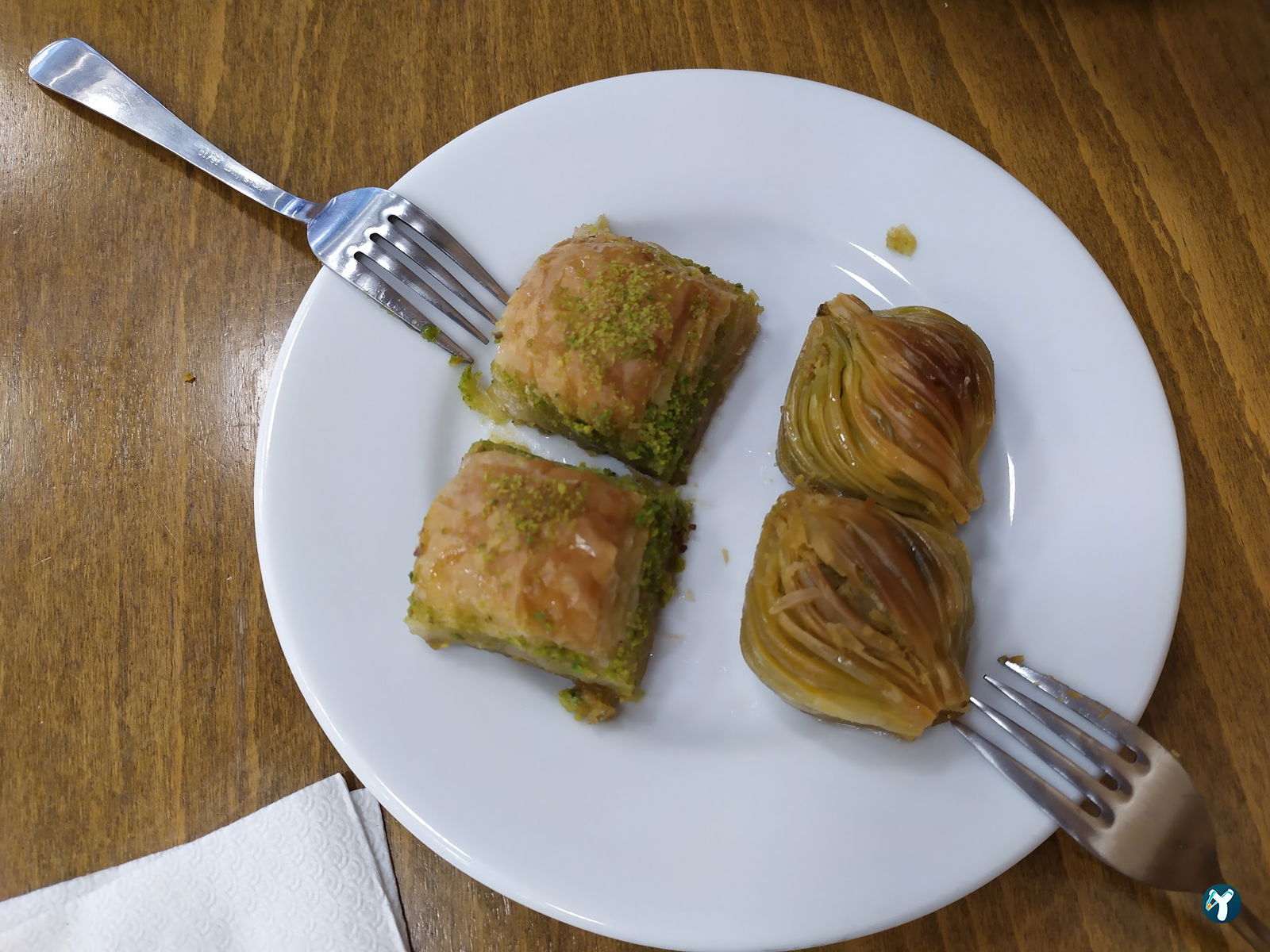 Anteplioğlu Şinasi Usta