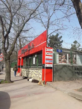 Bi̇lgem Cafe resimleri