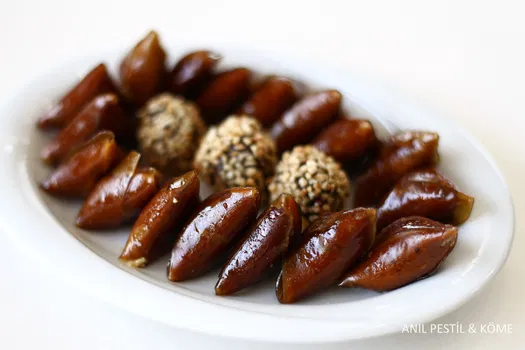Anıl Pestil Köme resimleri