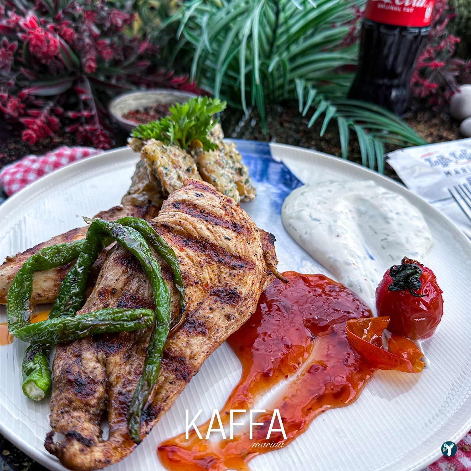 Kaffa Marina