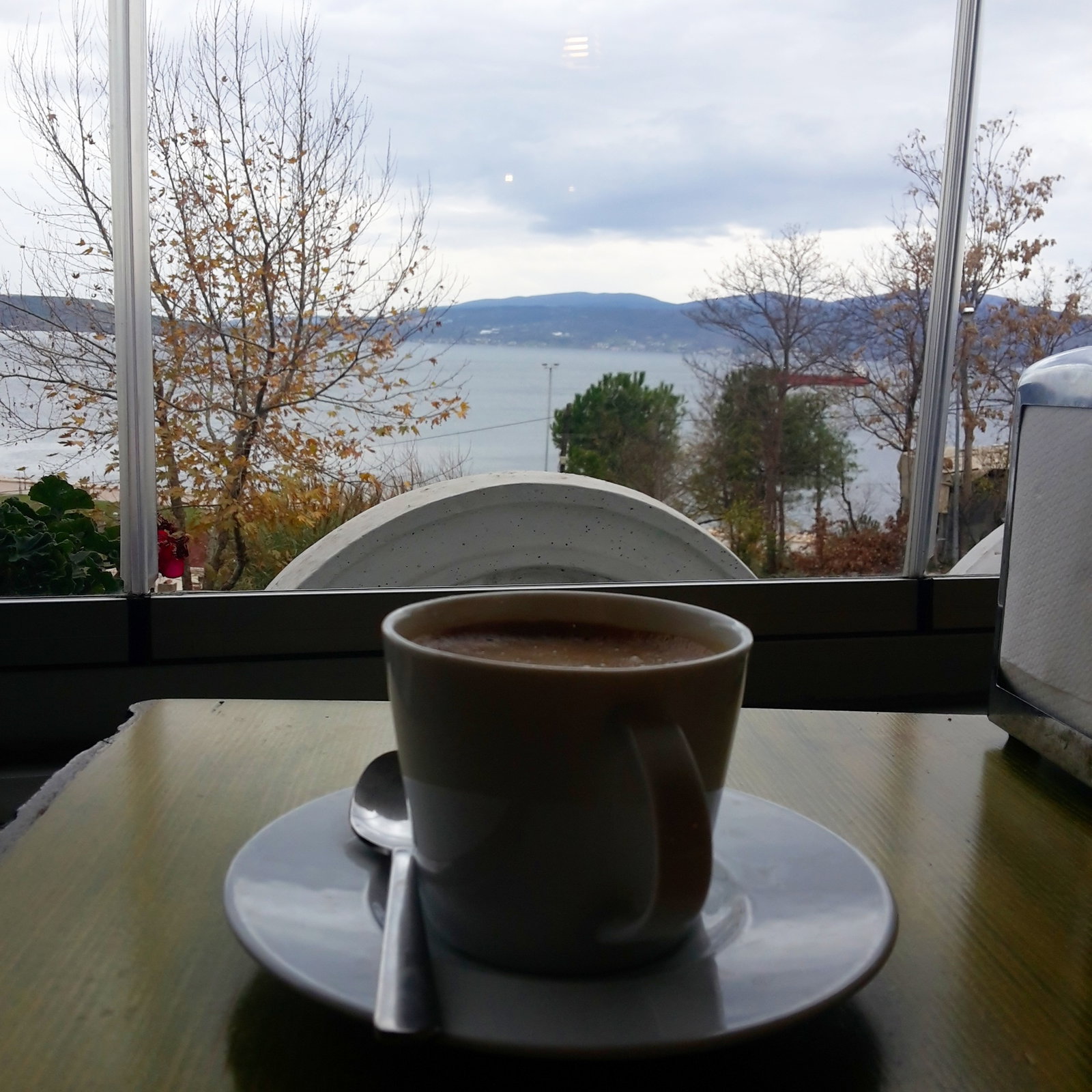 Tarçın Cafe