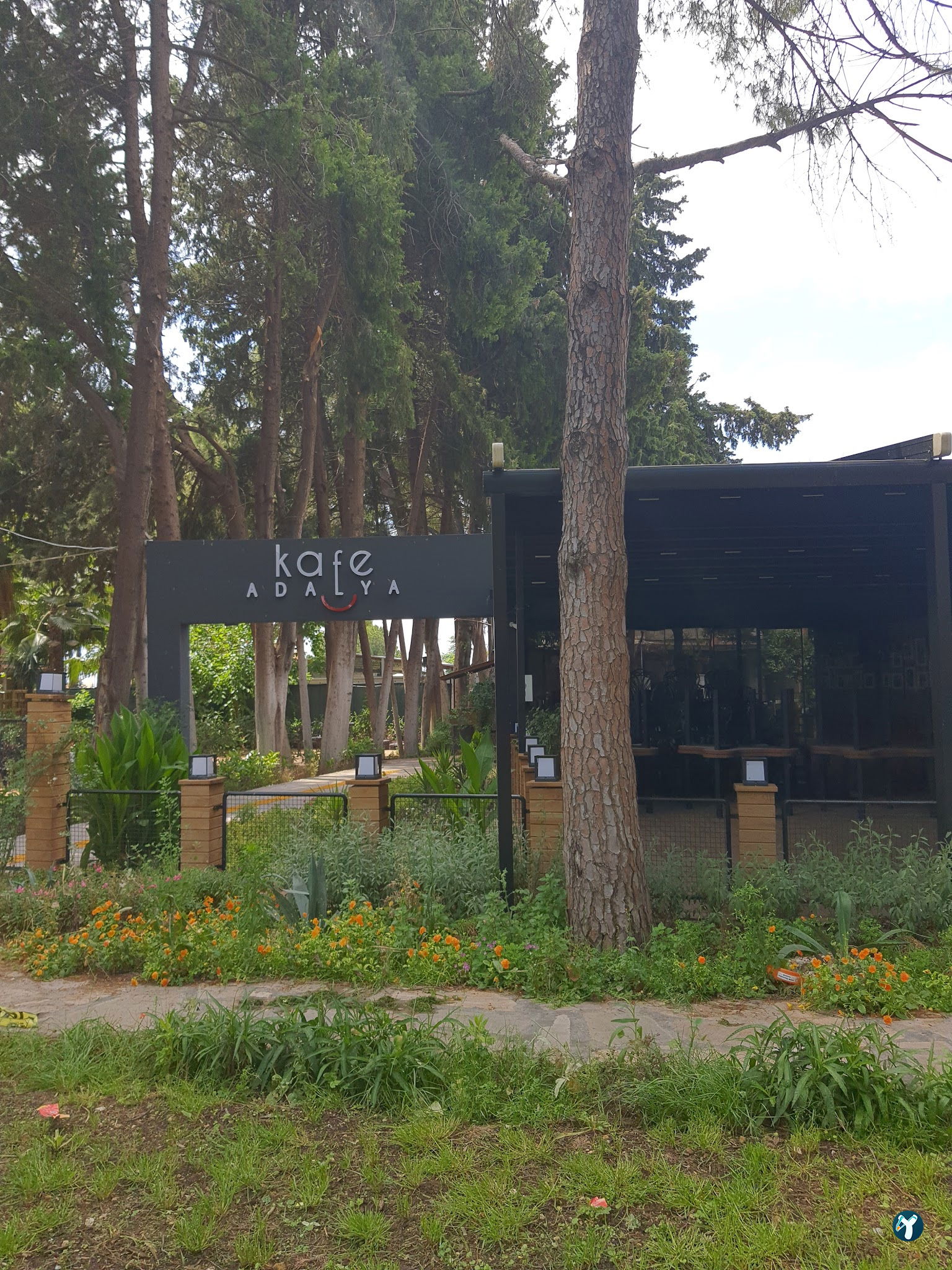 Cafe Adalya