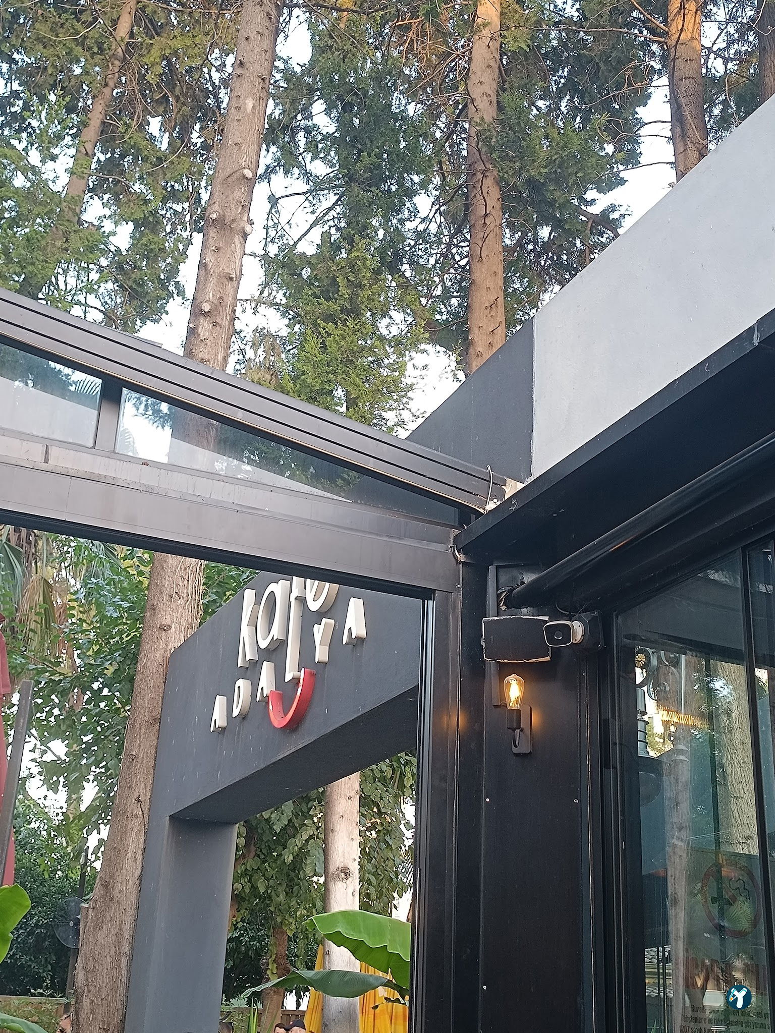 Cafe Adalya