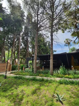 Cafe Adalya resimleri