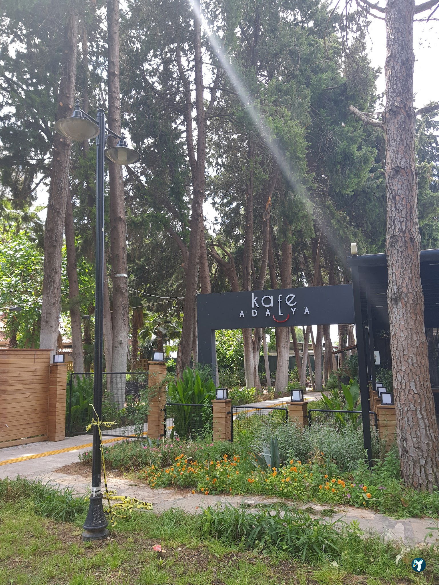 Cafe Adalya