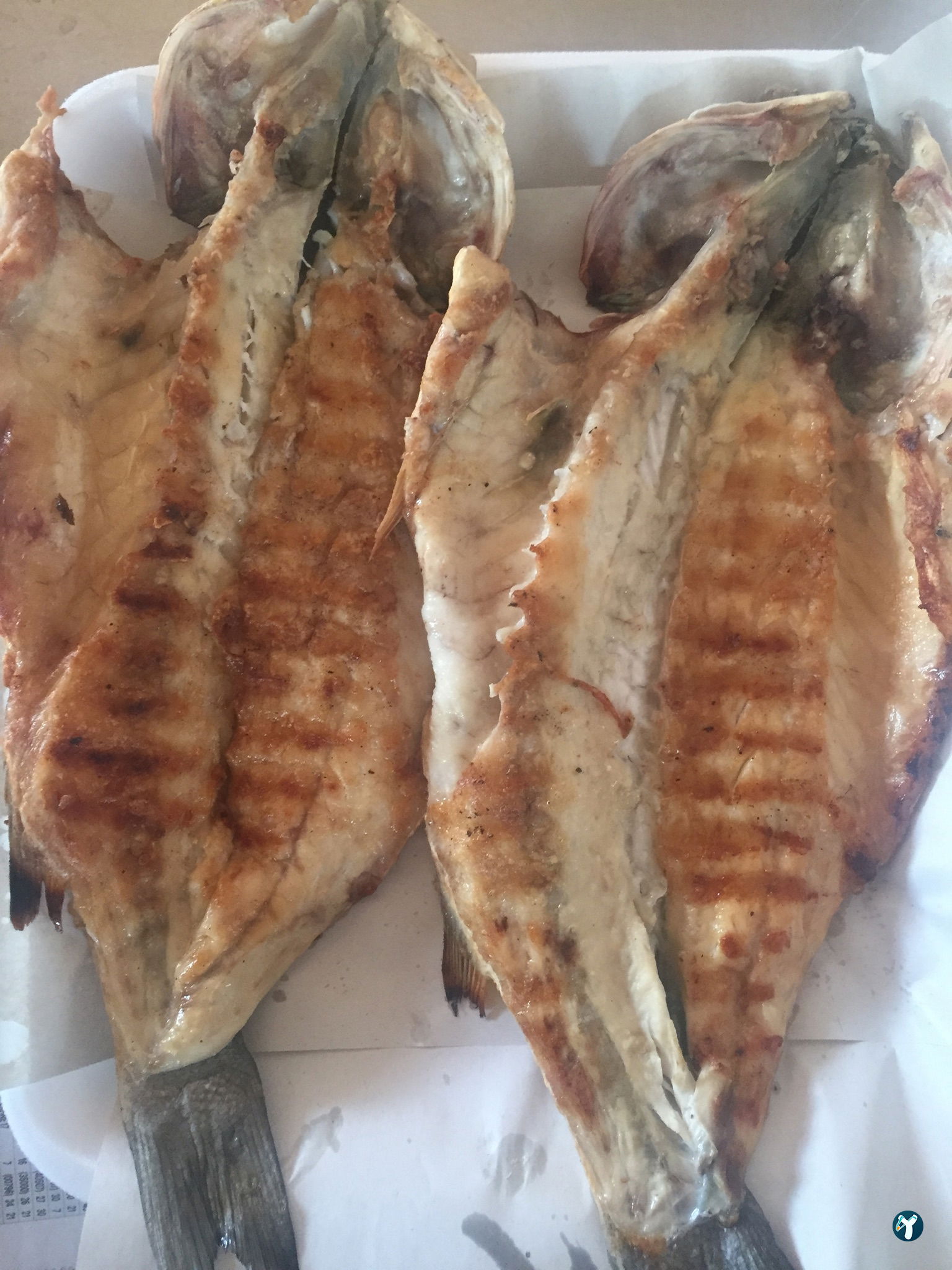 Miss Balık Market & Pişiricisi