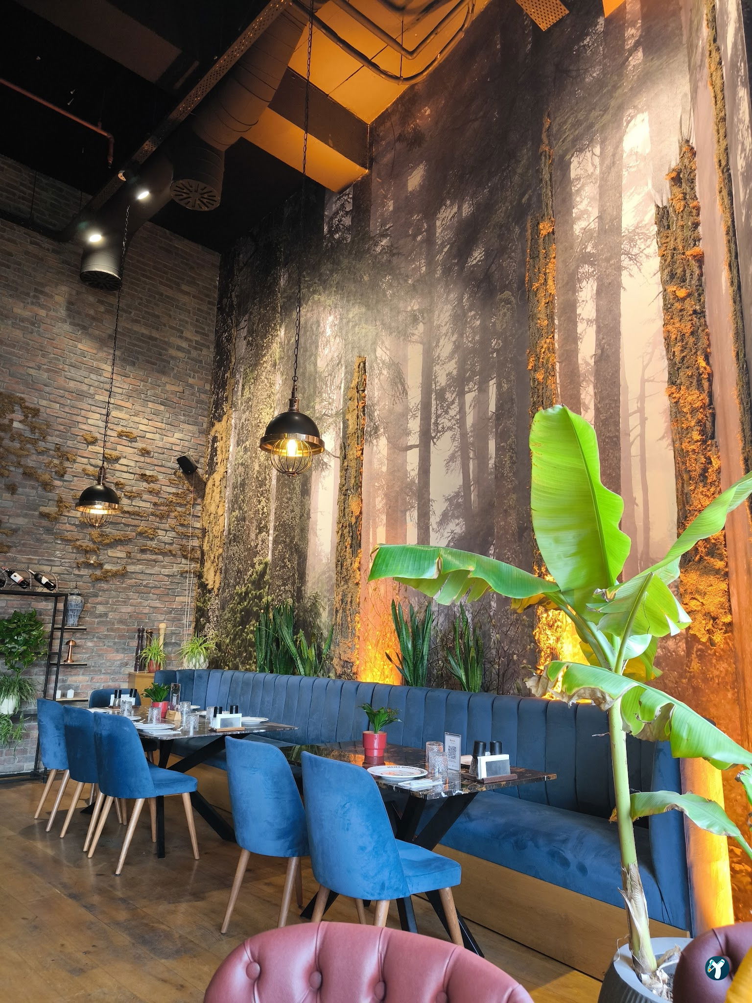 Beeves Grill & Brasserie