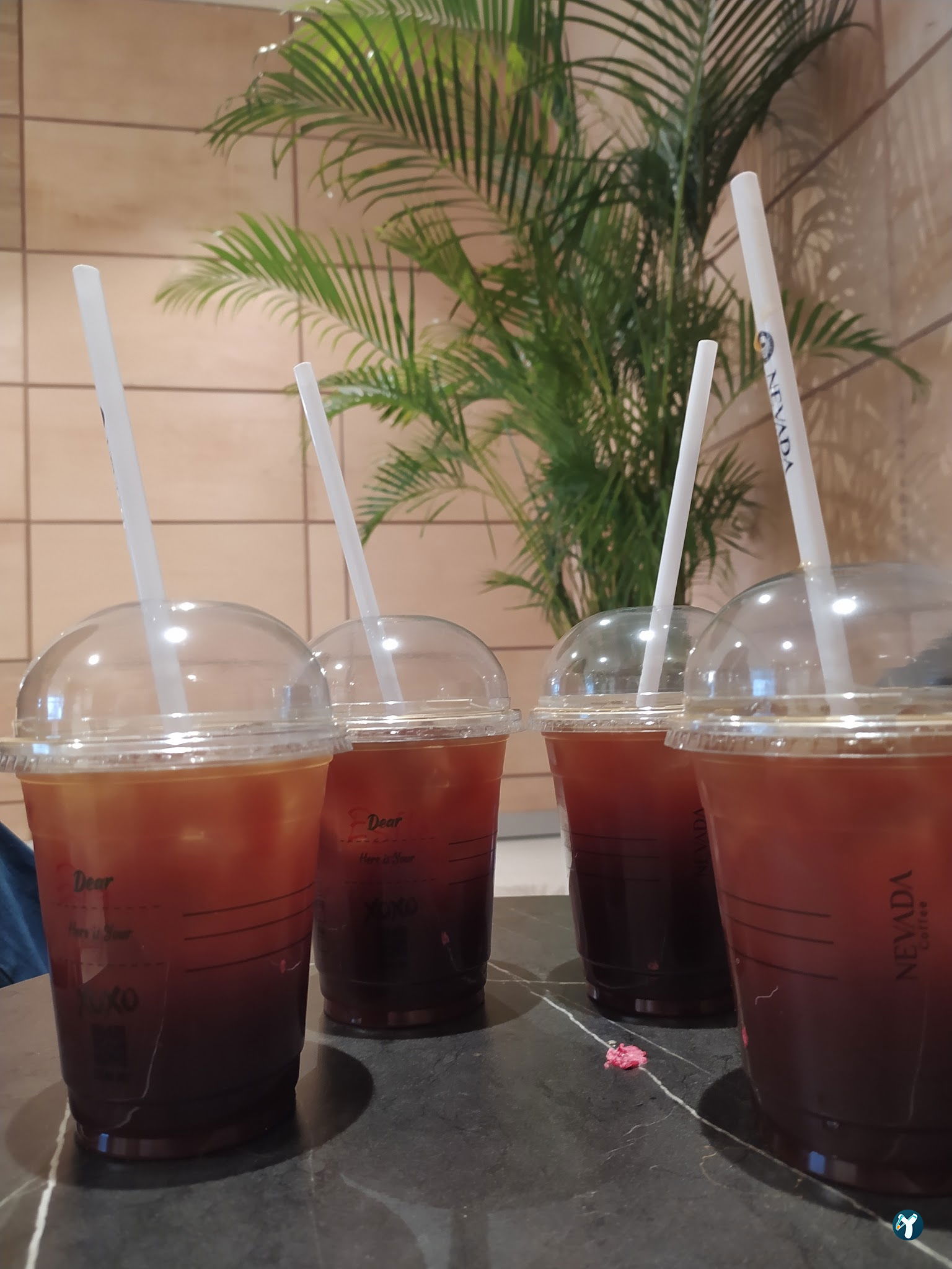 Nevada Coffee