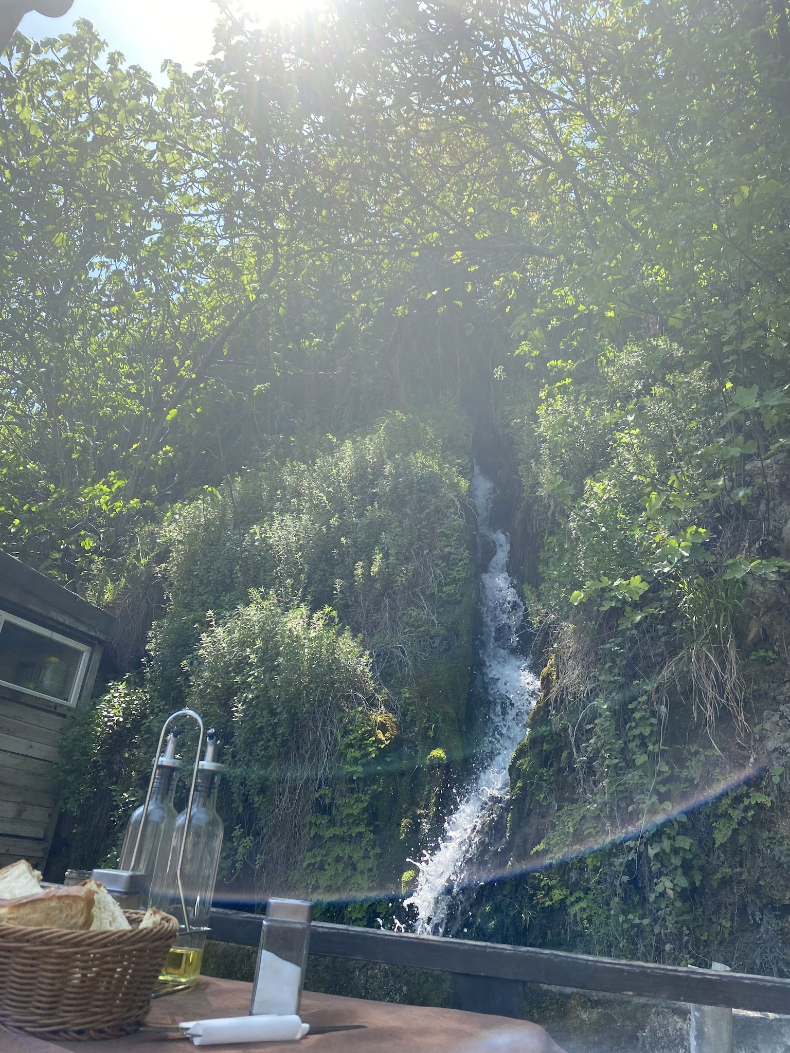 Gürle Alabalık Çiftliği