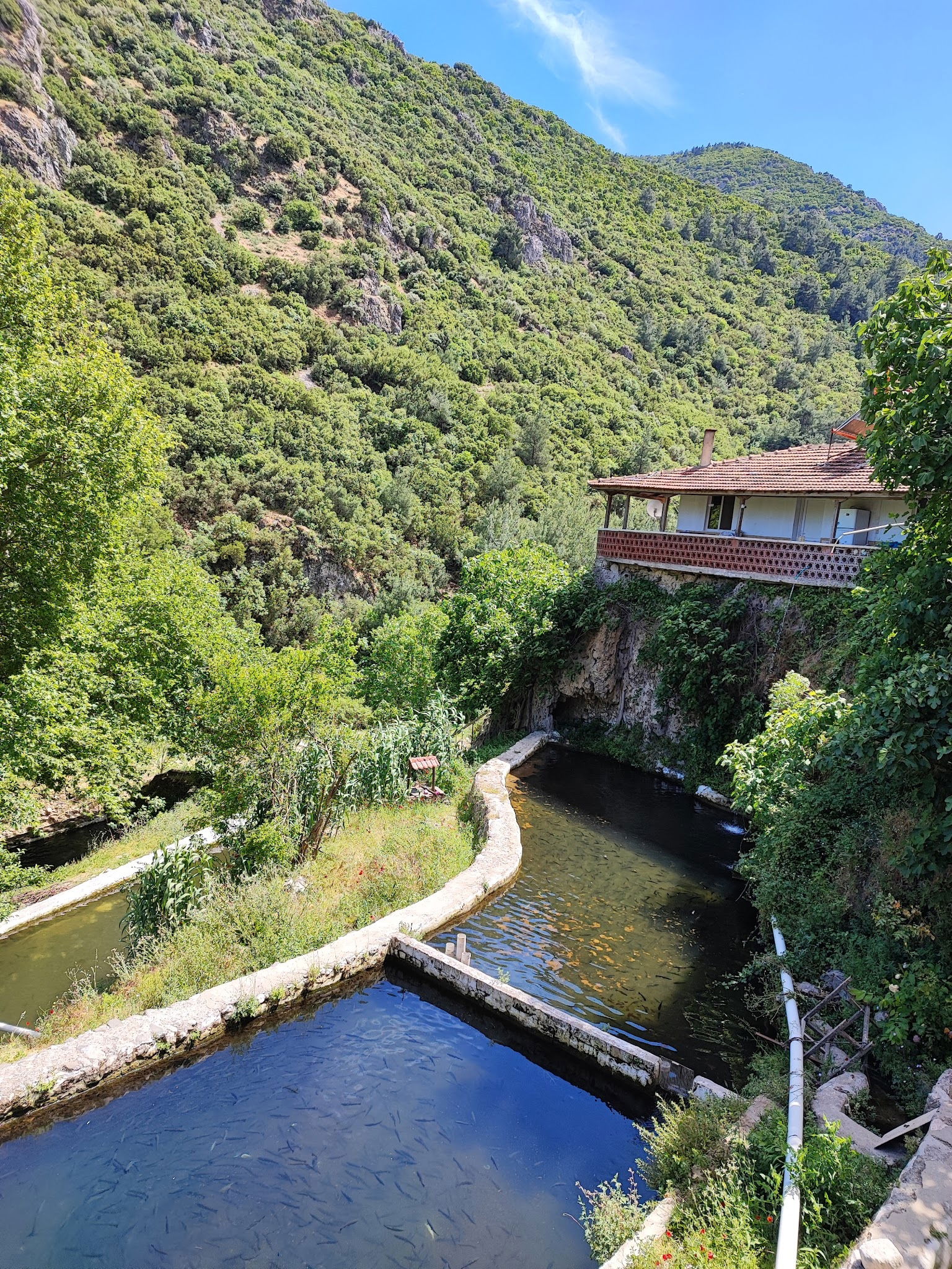 Gürle Alabalık Çiftliği