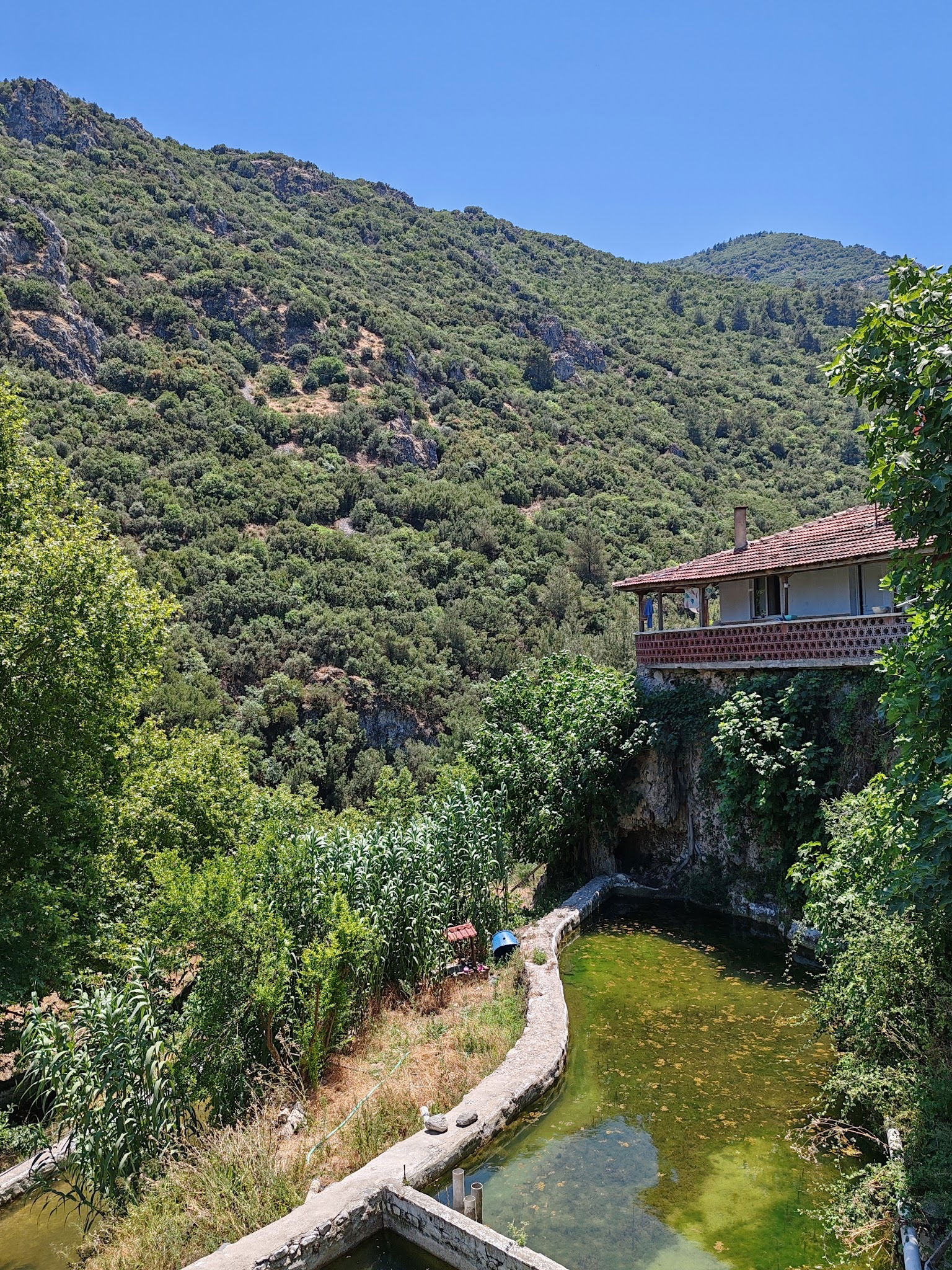 Gürle Alabalık Çiftliği