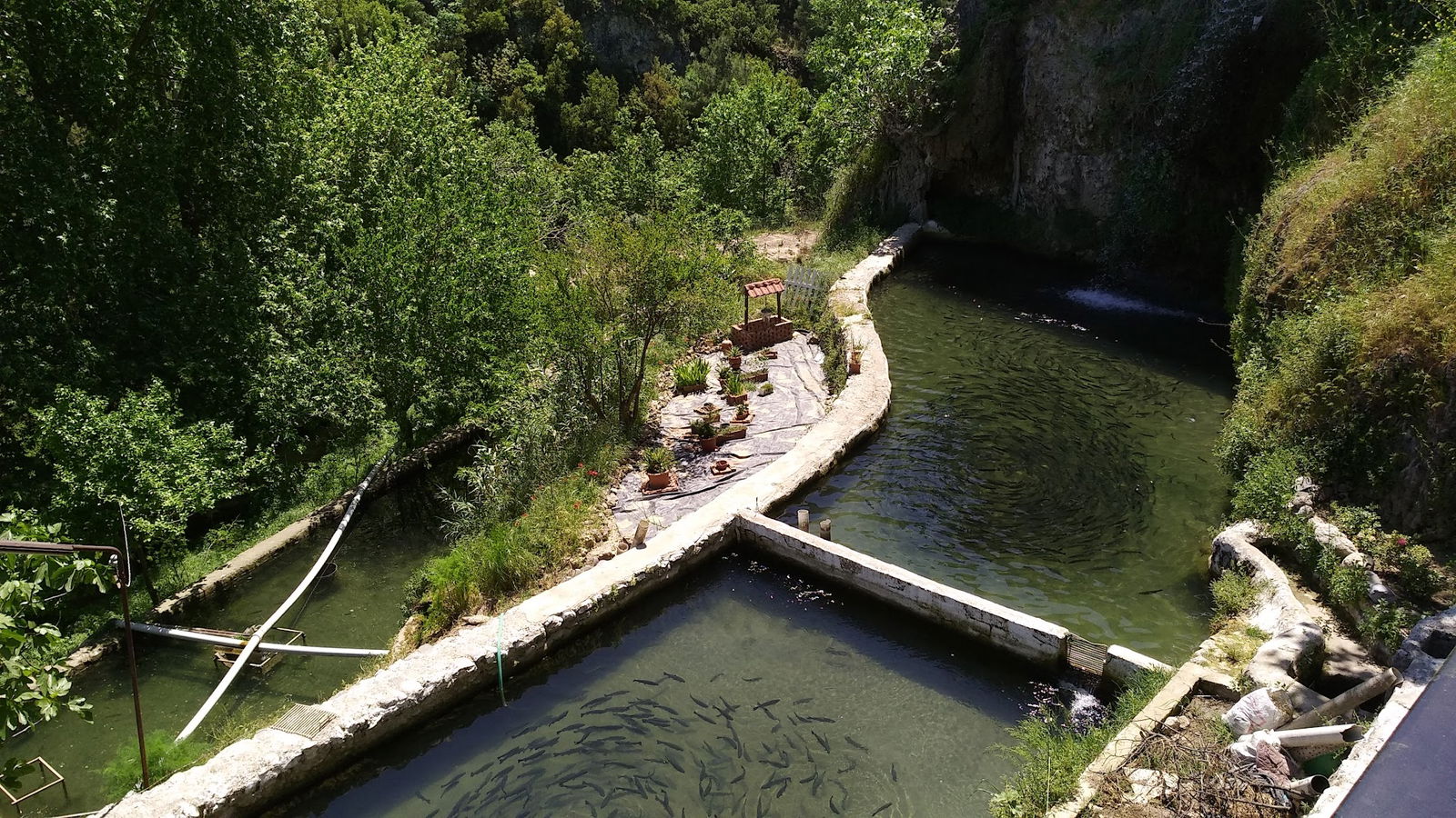 Gürle Alabalık Çiftliği