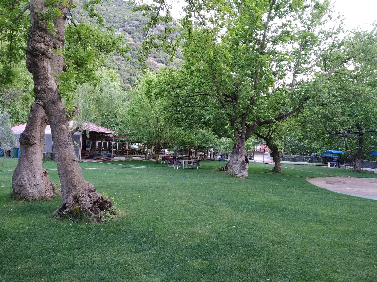 Gürle Alabalık Çiftliği