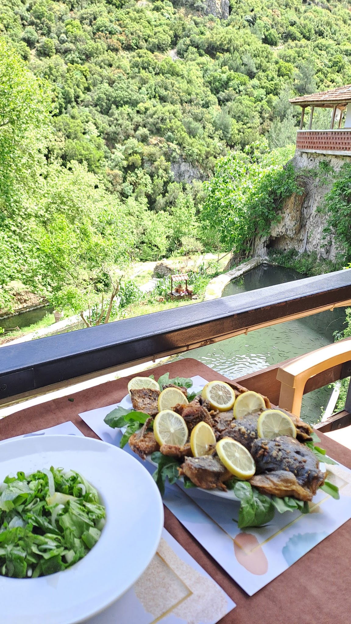 Gürle Alabalık Çiftliği