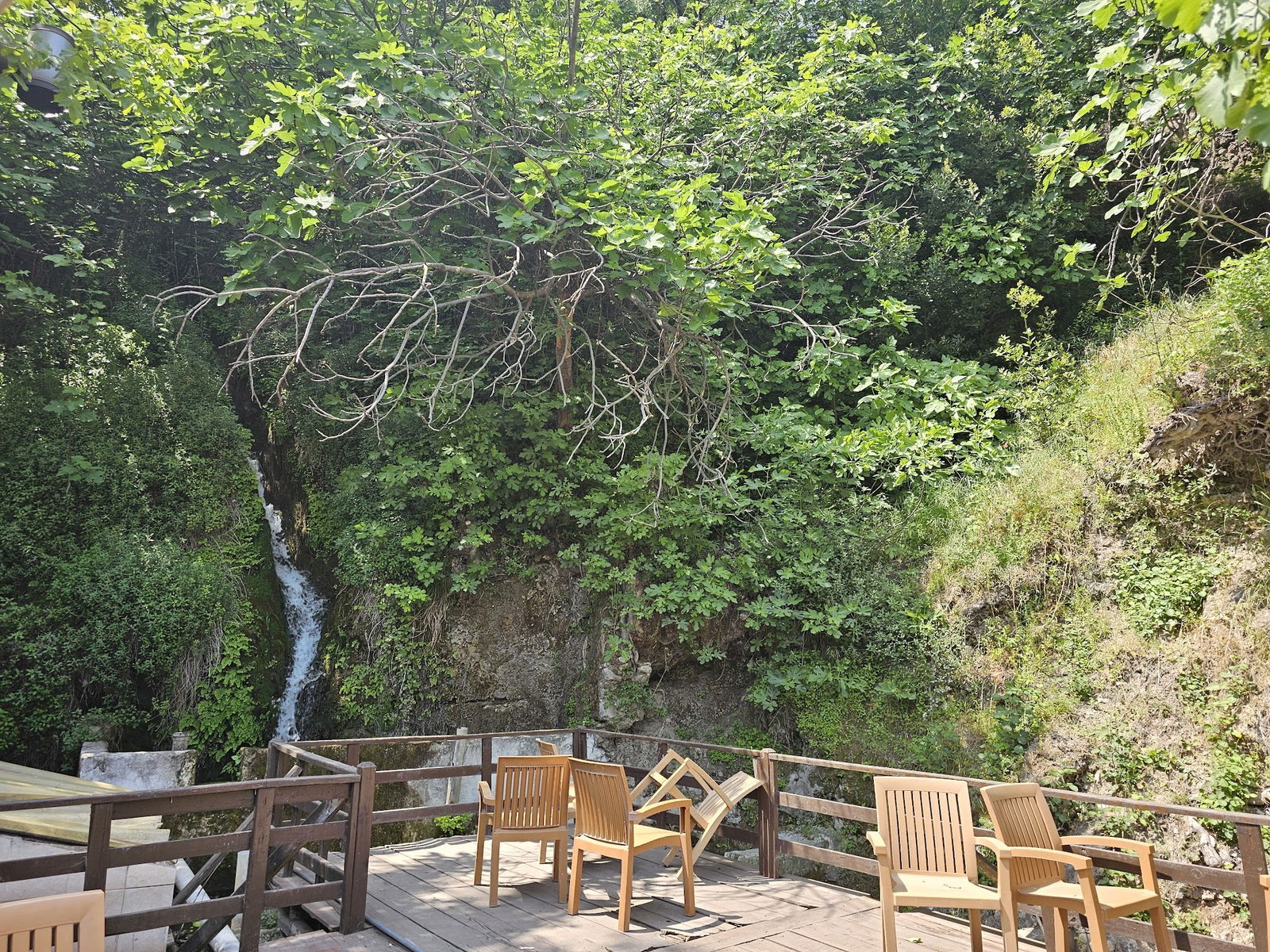 Gürle Alabalık Çiftliği