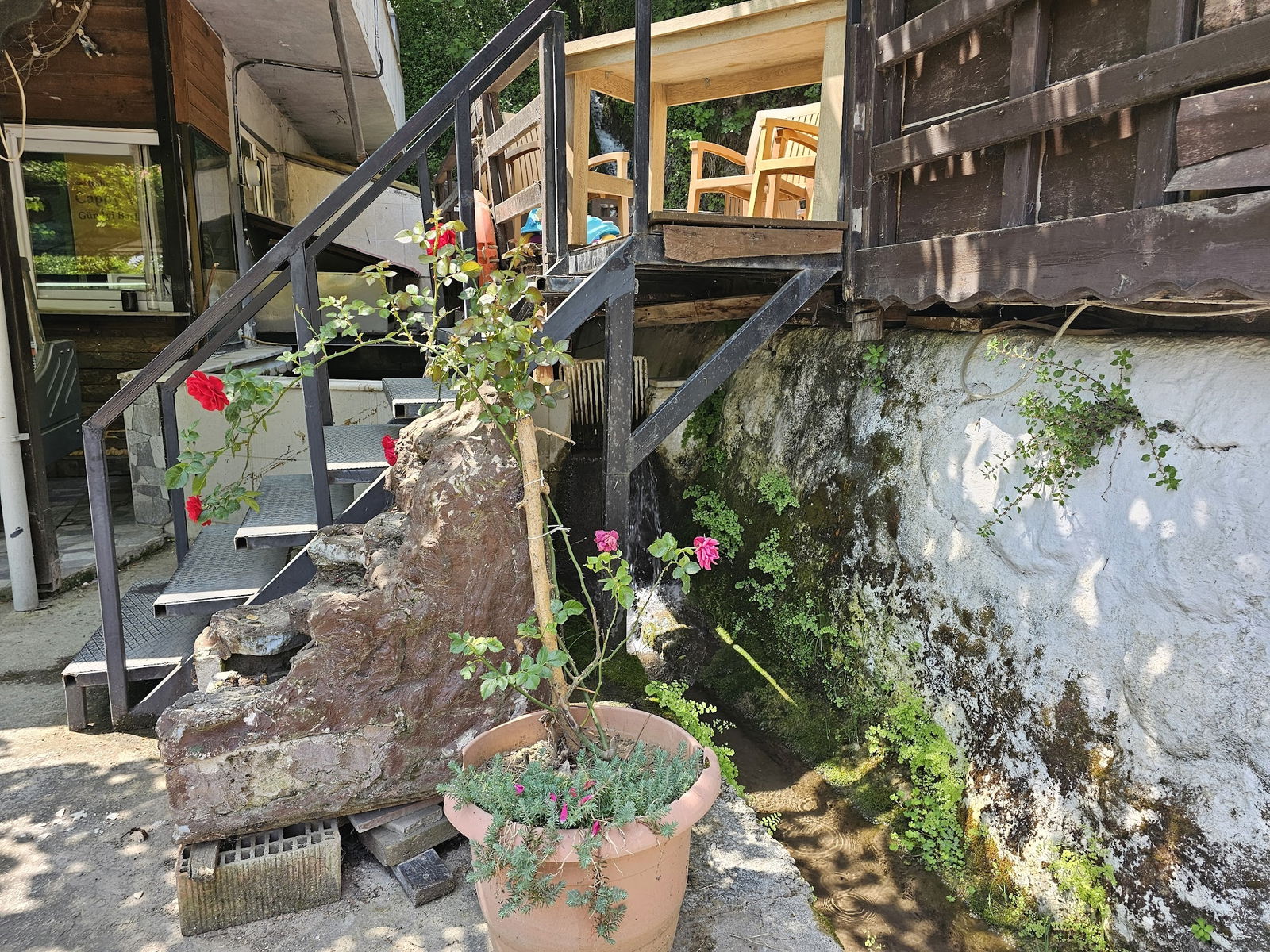 Gürle Alabalık Çiftliği