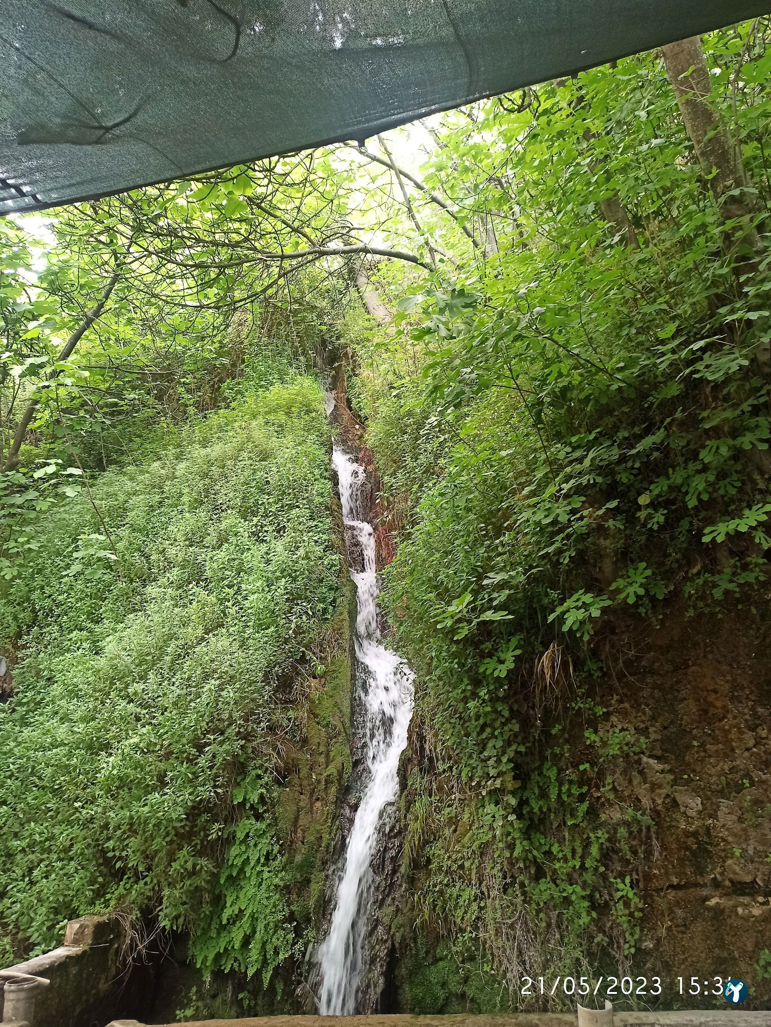 Gürle Alabalık Çiftliği