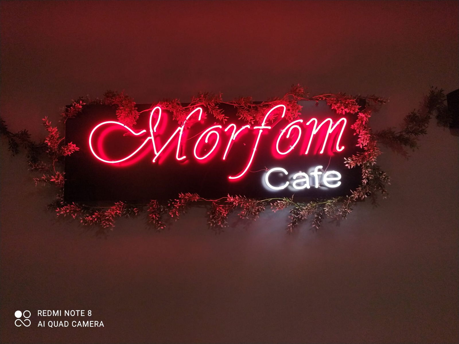 Morfom Cafe Restaurant