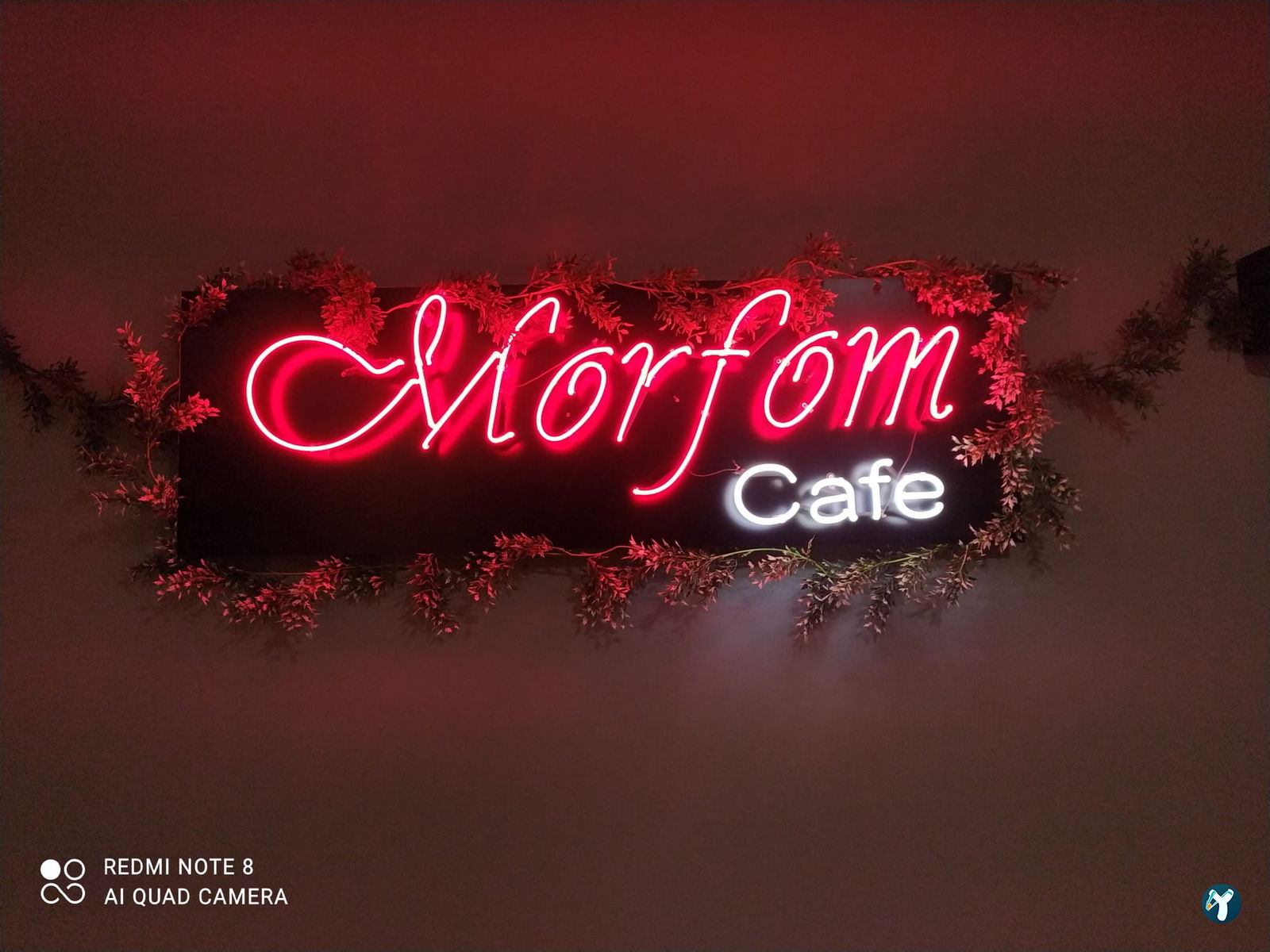 Morfom Cafe Restaurant