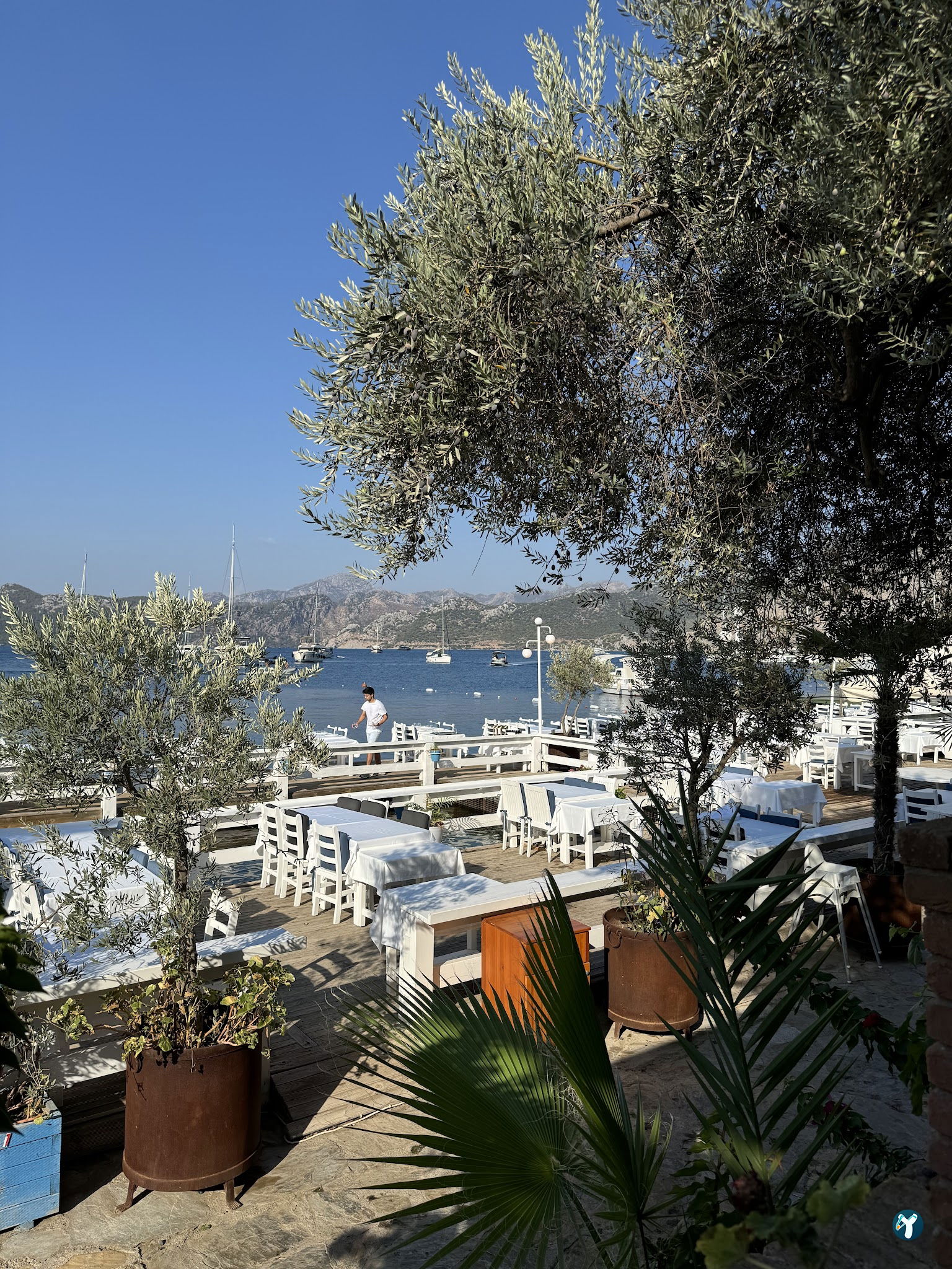 Sardunya Restaurant