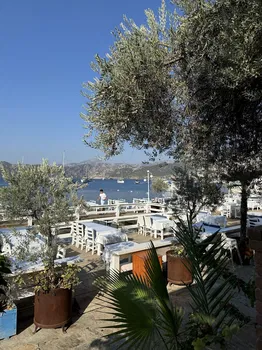 Sardunya Restaurant resimleri