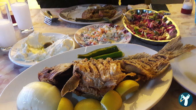 Çelik Lokantası Canlı Balık