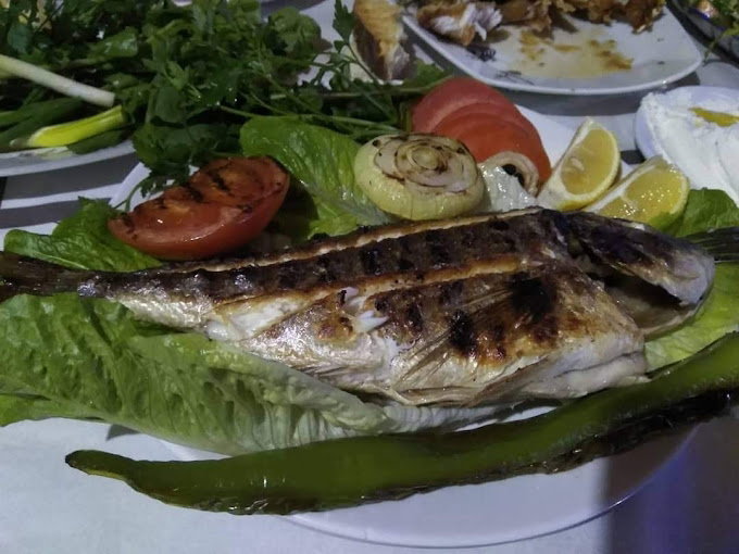 Çelik Lokantası Canlı Balık