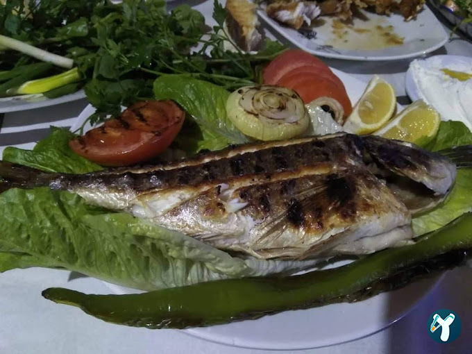 Çelik Lokantası Canlı Balık