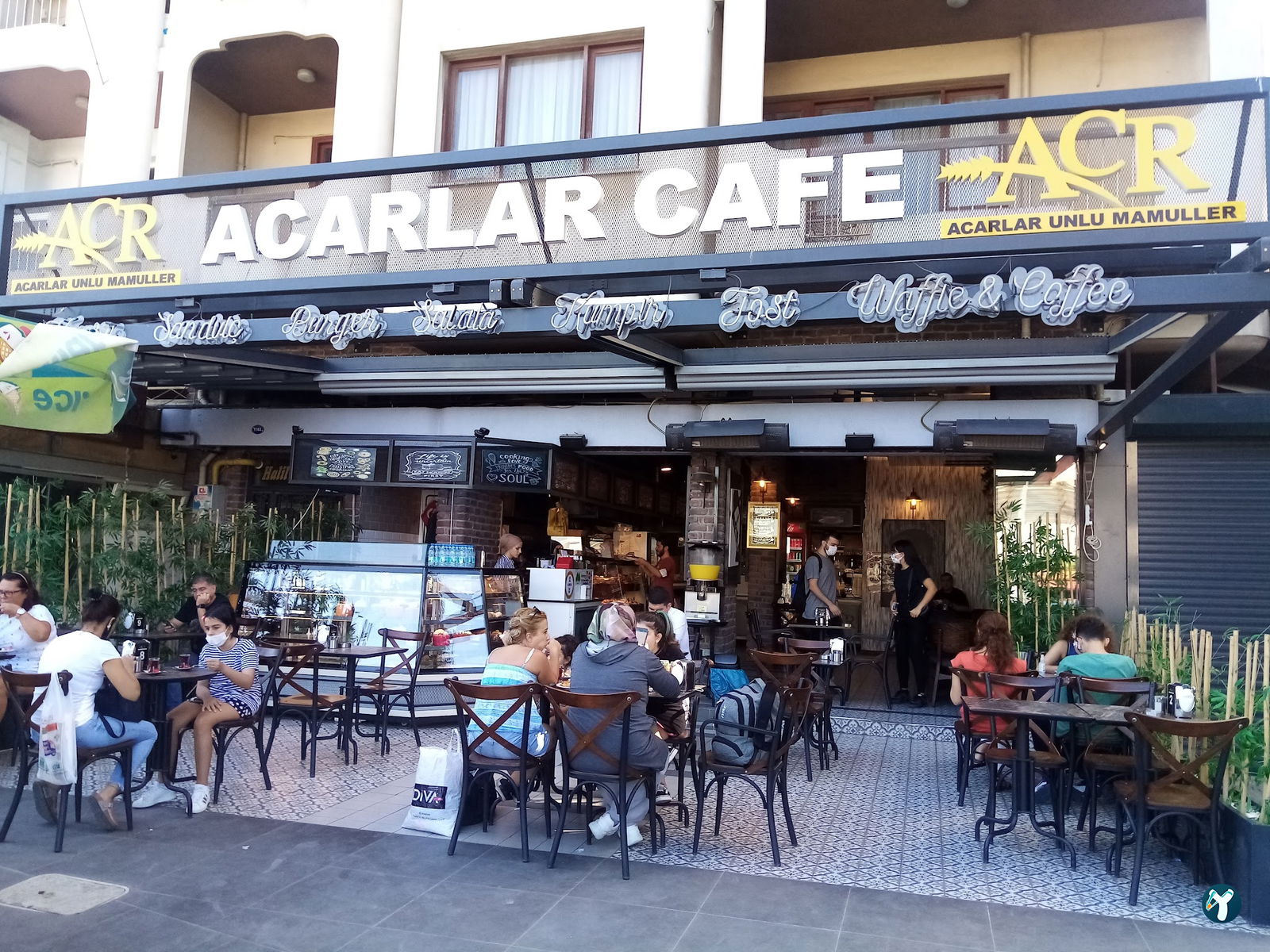 Acarlar