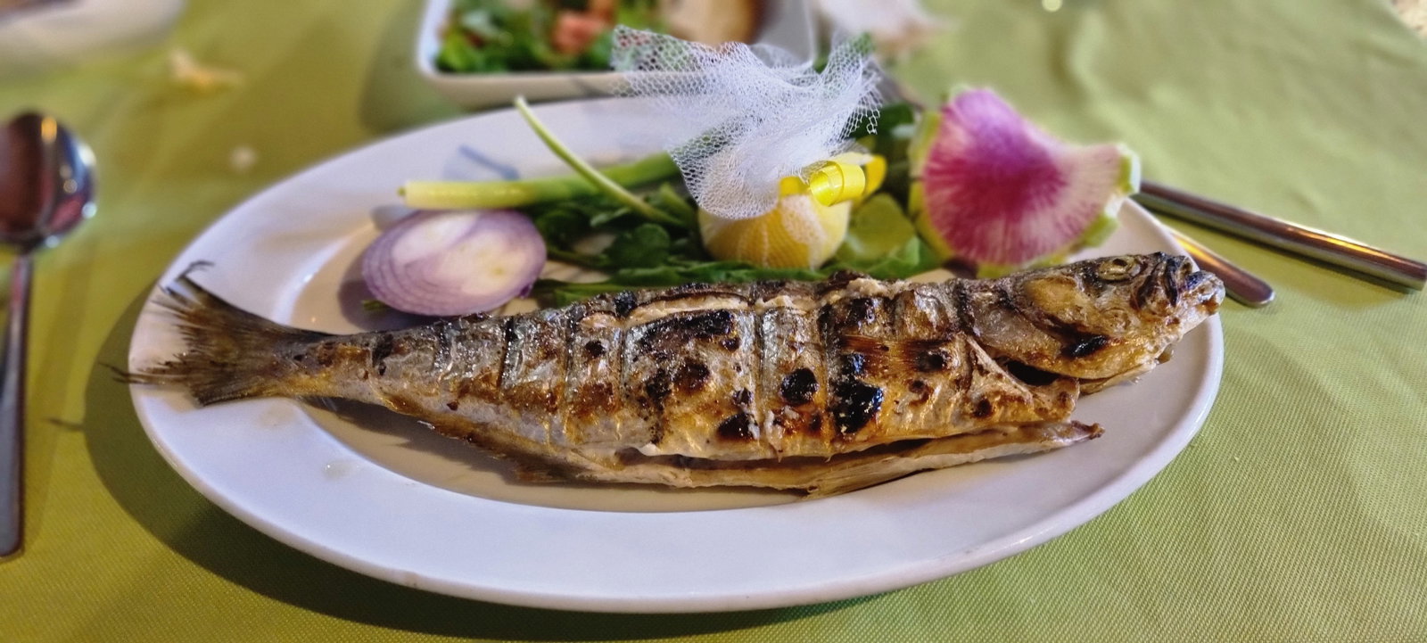 Plaj Restoran Musanın Yeri