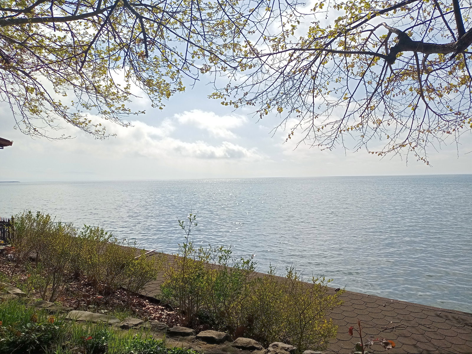 Plaj Restoran Musanın Yeri