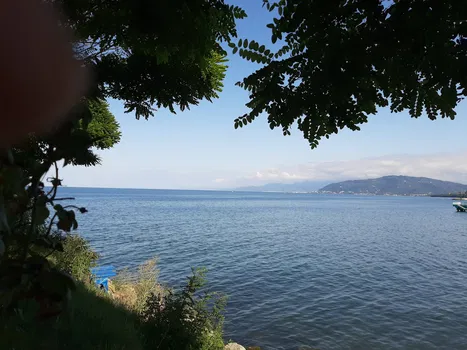 Nazende & Ceren Düğün Salonu resimleri