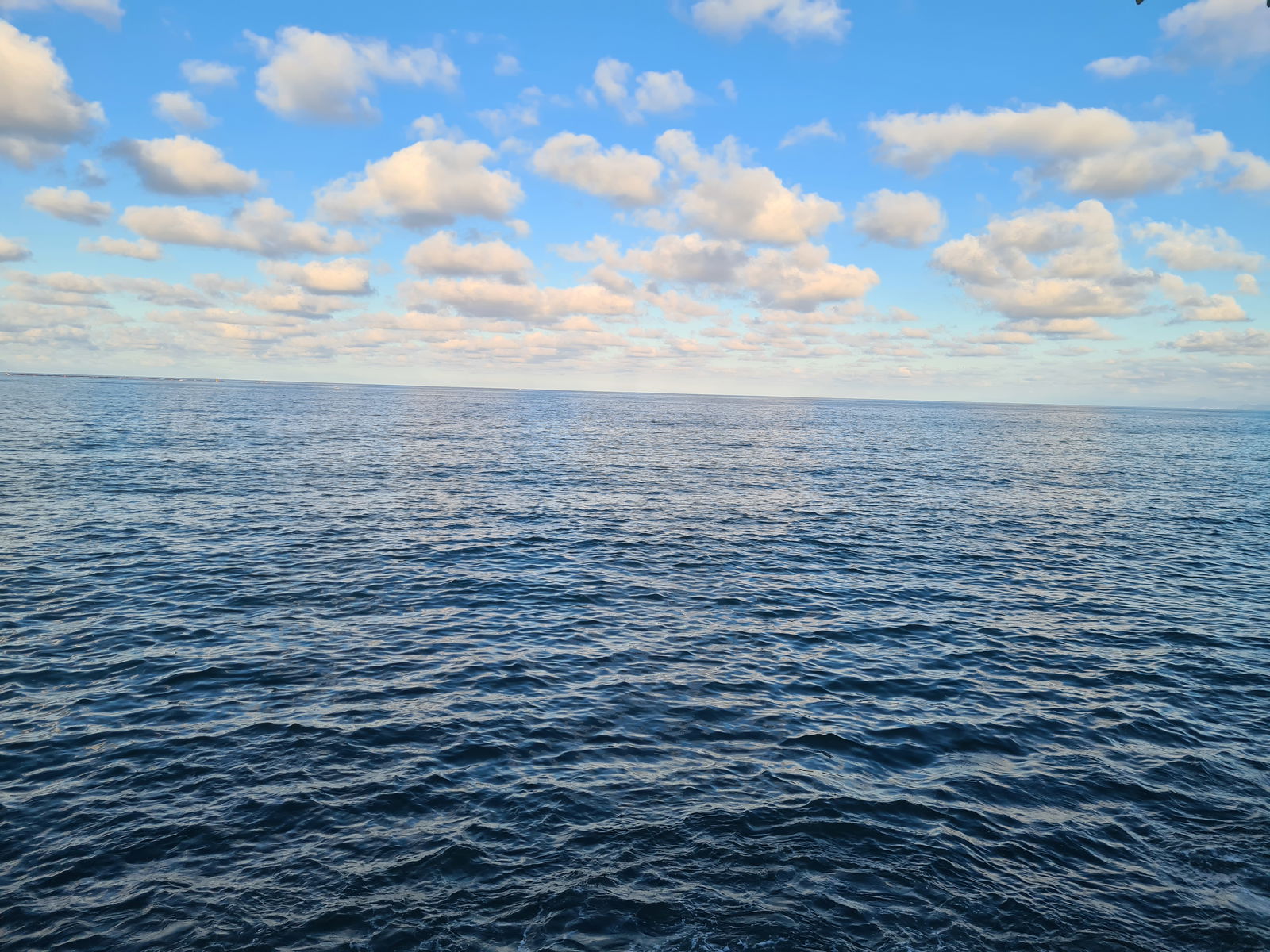 Nazende & Ceren Düğün Salonu