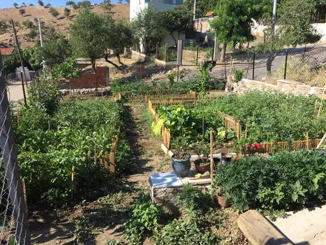 Dağ Kahvaltı Evi resimleri