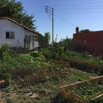 Dağ Kahvaltı Evi resimleri