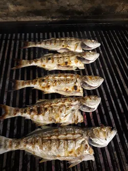 Holiday Inn Gaziantep / Sandal Balık Restoran resimleri