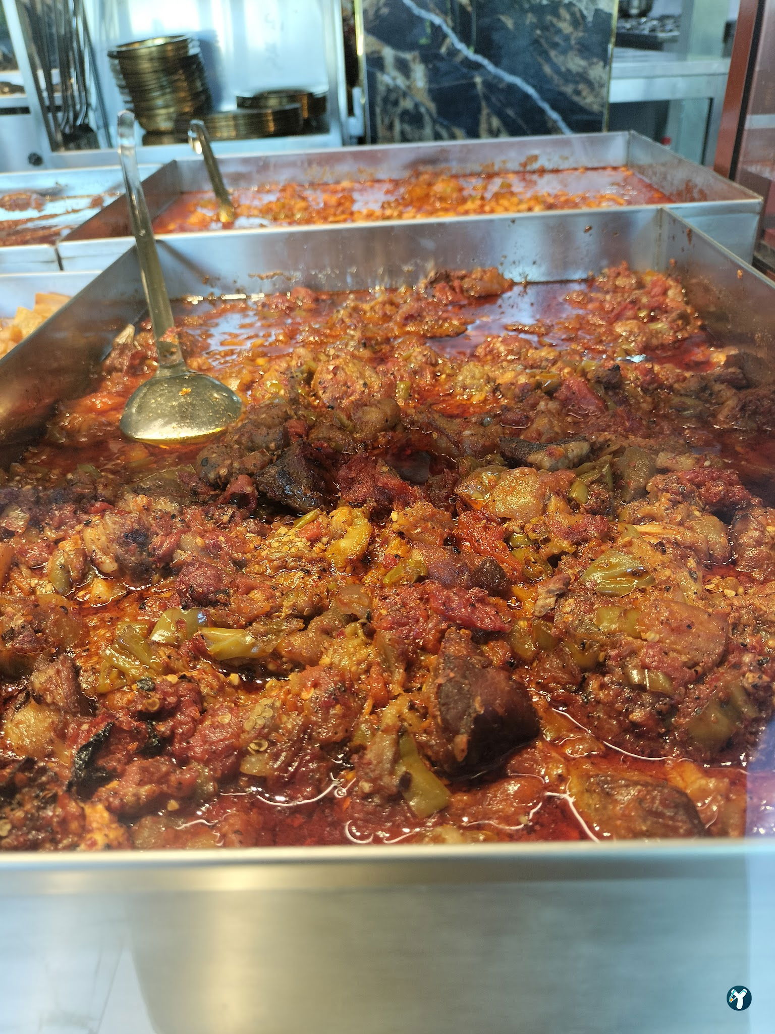 Paçacı Hikmet Plus