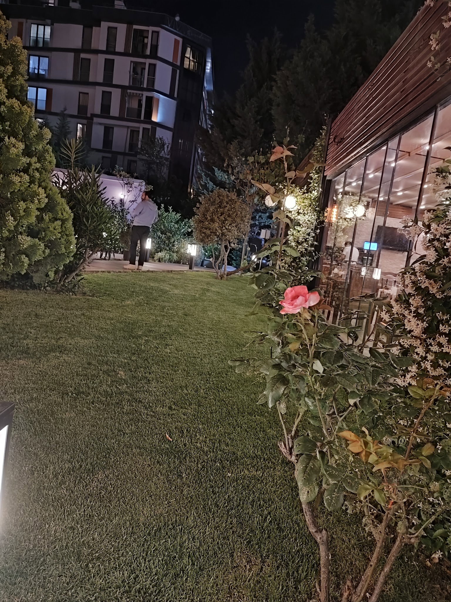 Paçacı Hikmet Plus