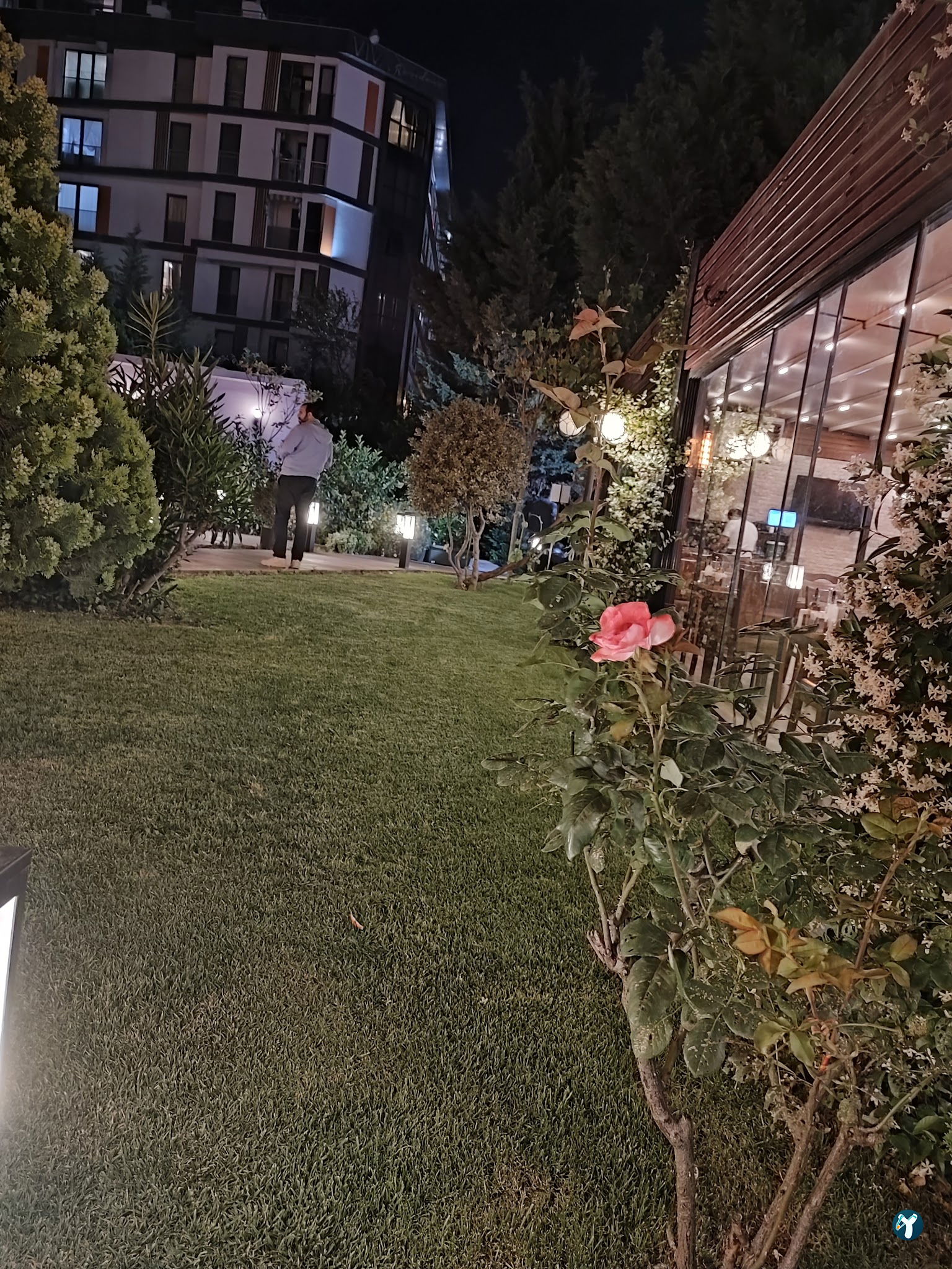 Paçacı Hikmet Plus