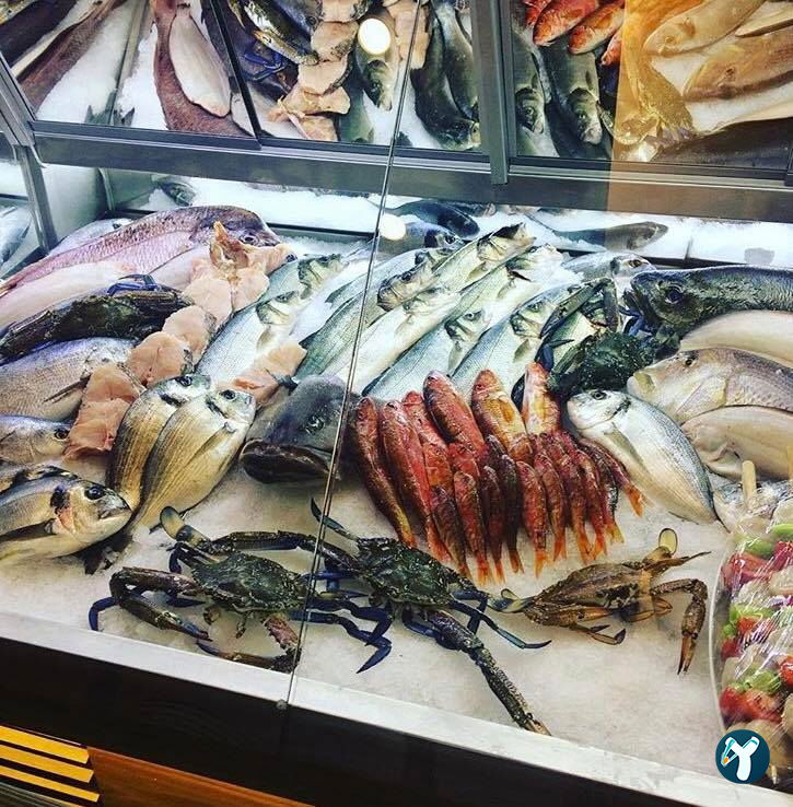 Marmara Balıkçısı