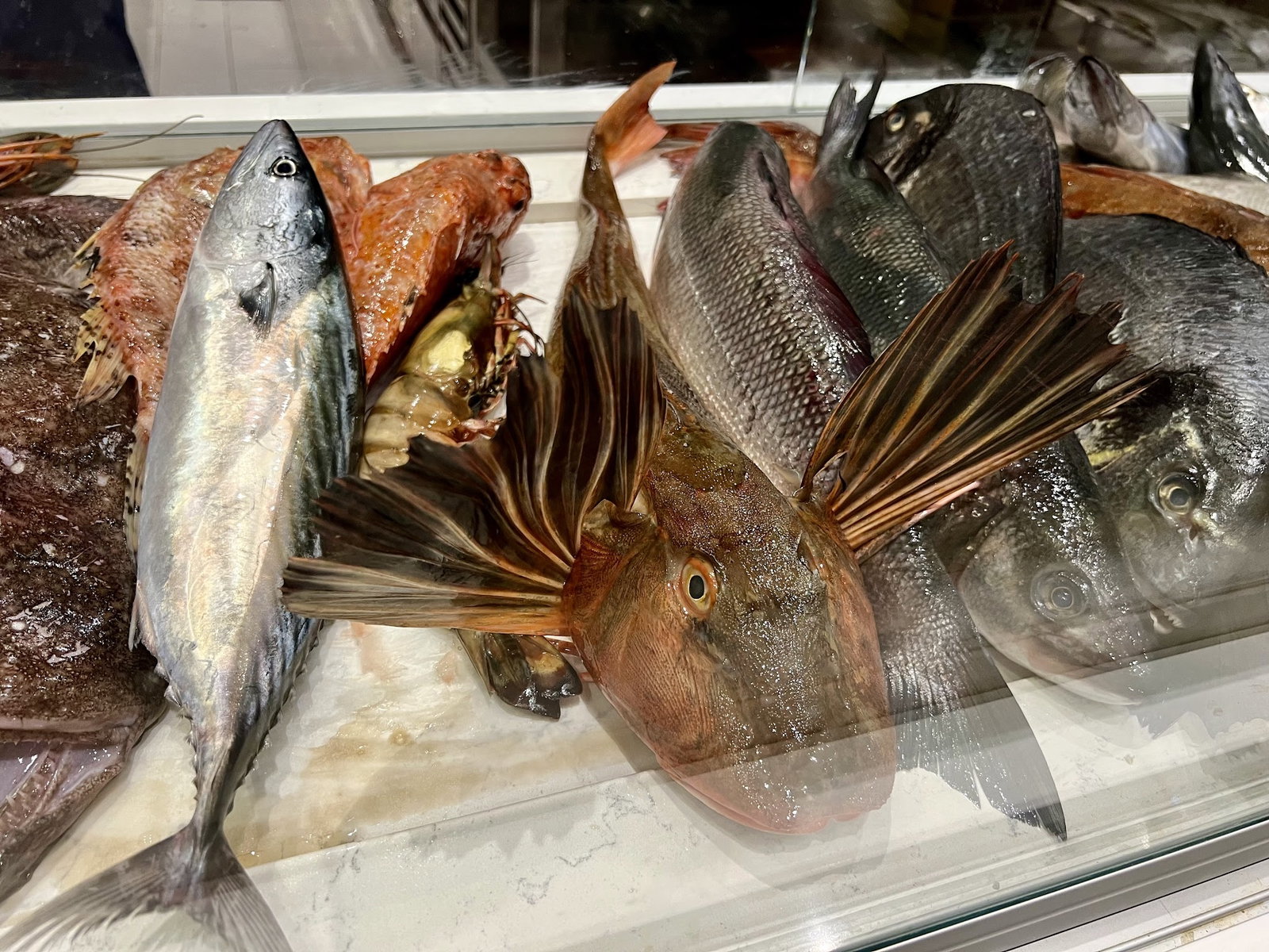 Del Mare