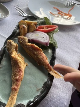 Del Mare resimleri