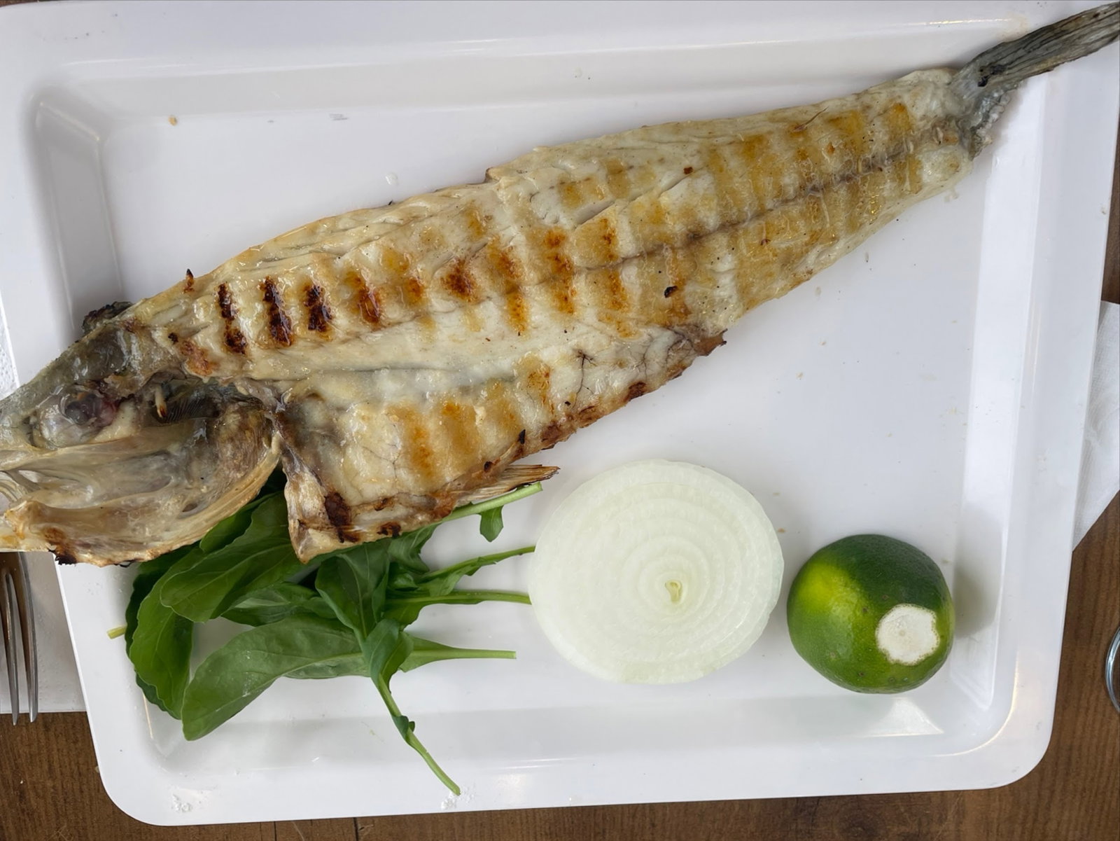 Alara Balık Express