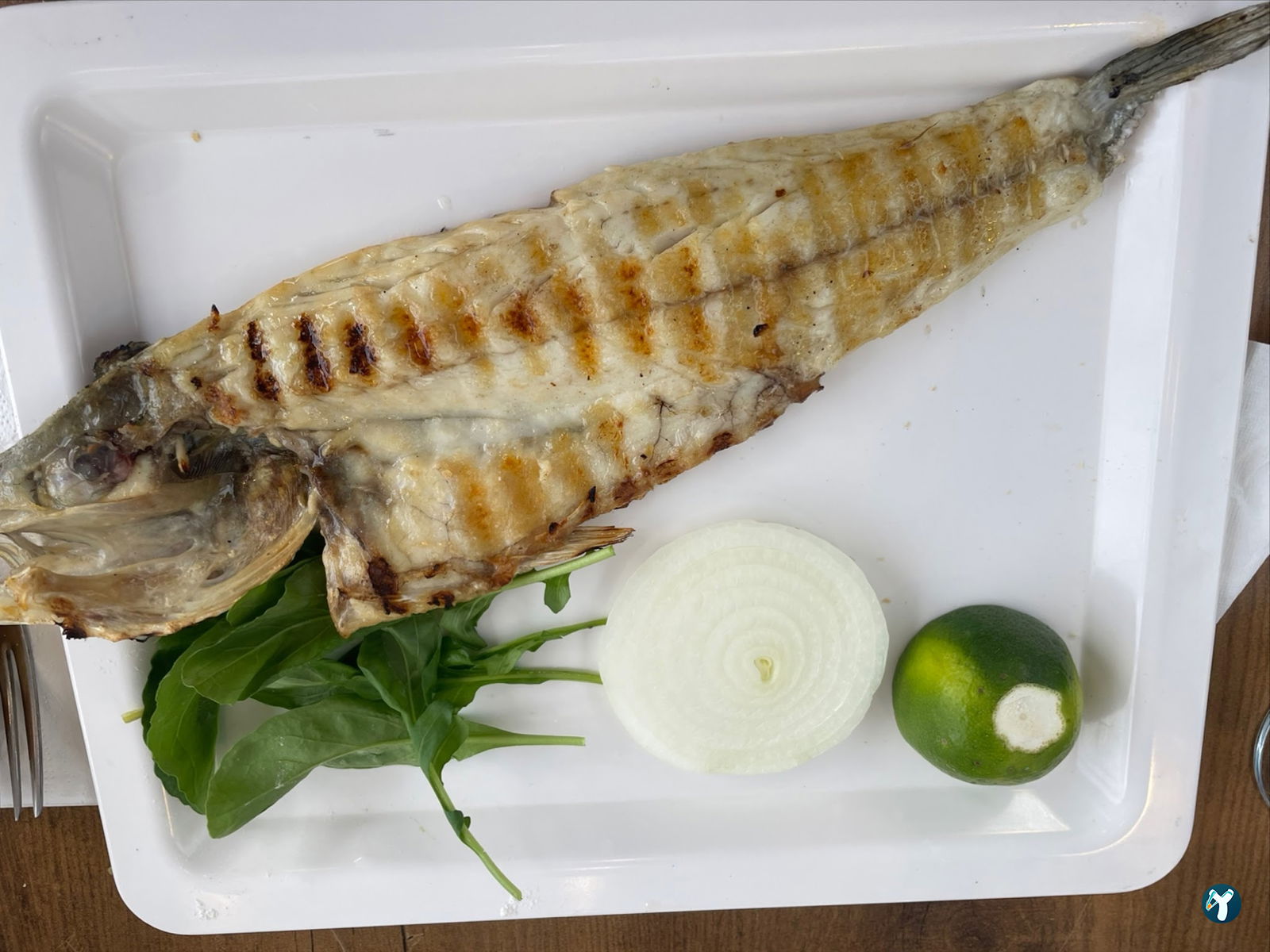 Alara Balık Express