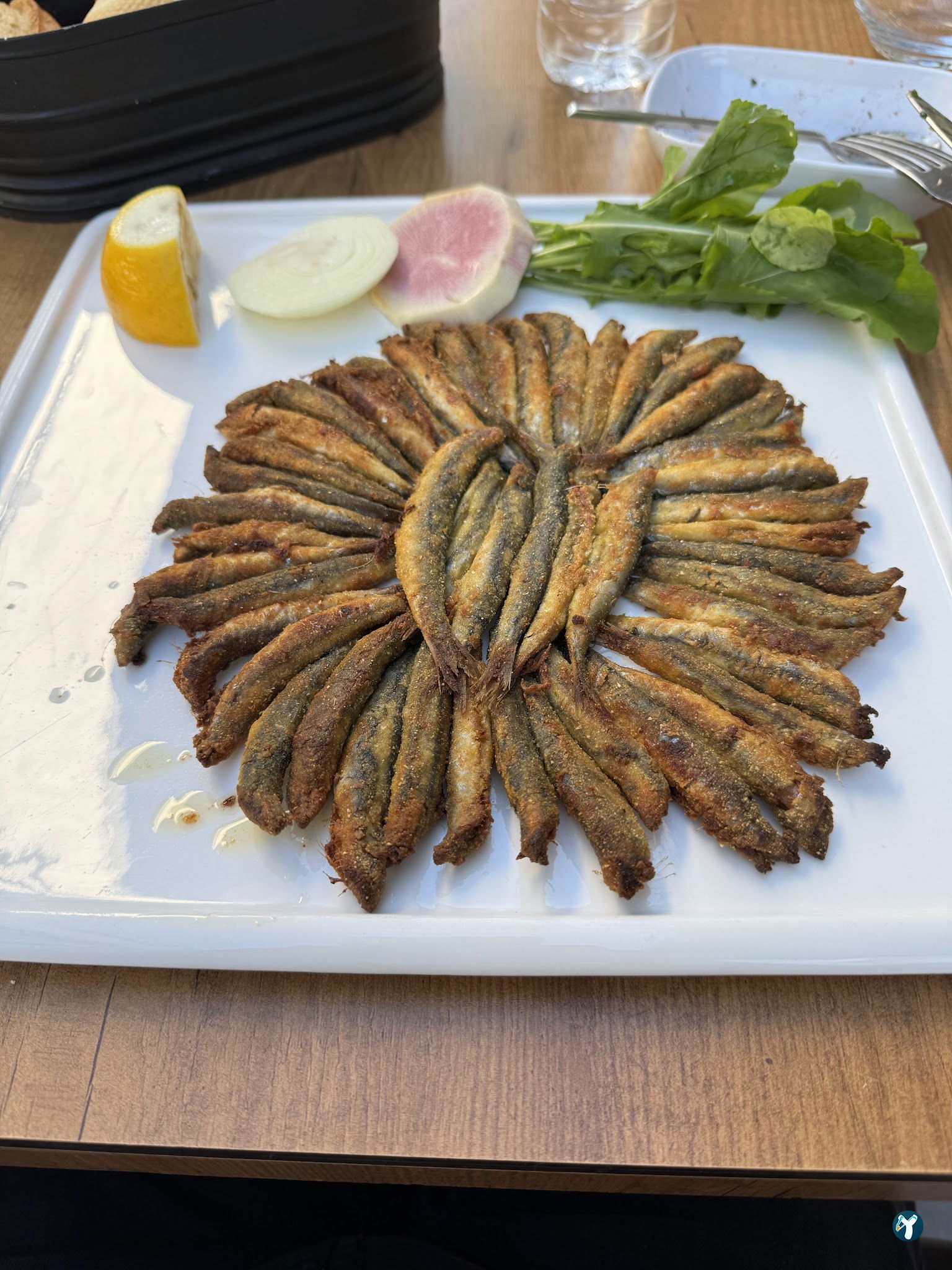 Alara Balık Express