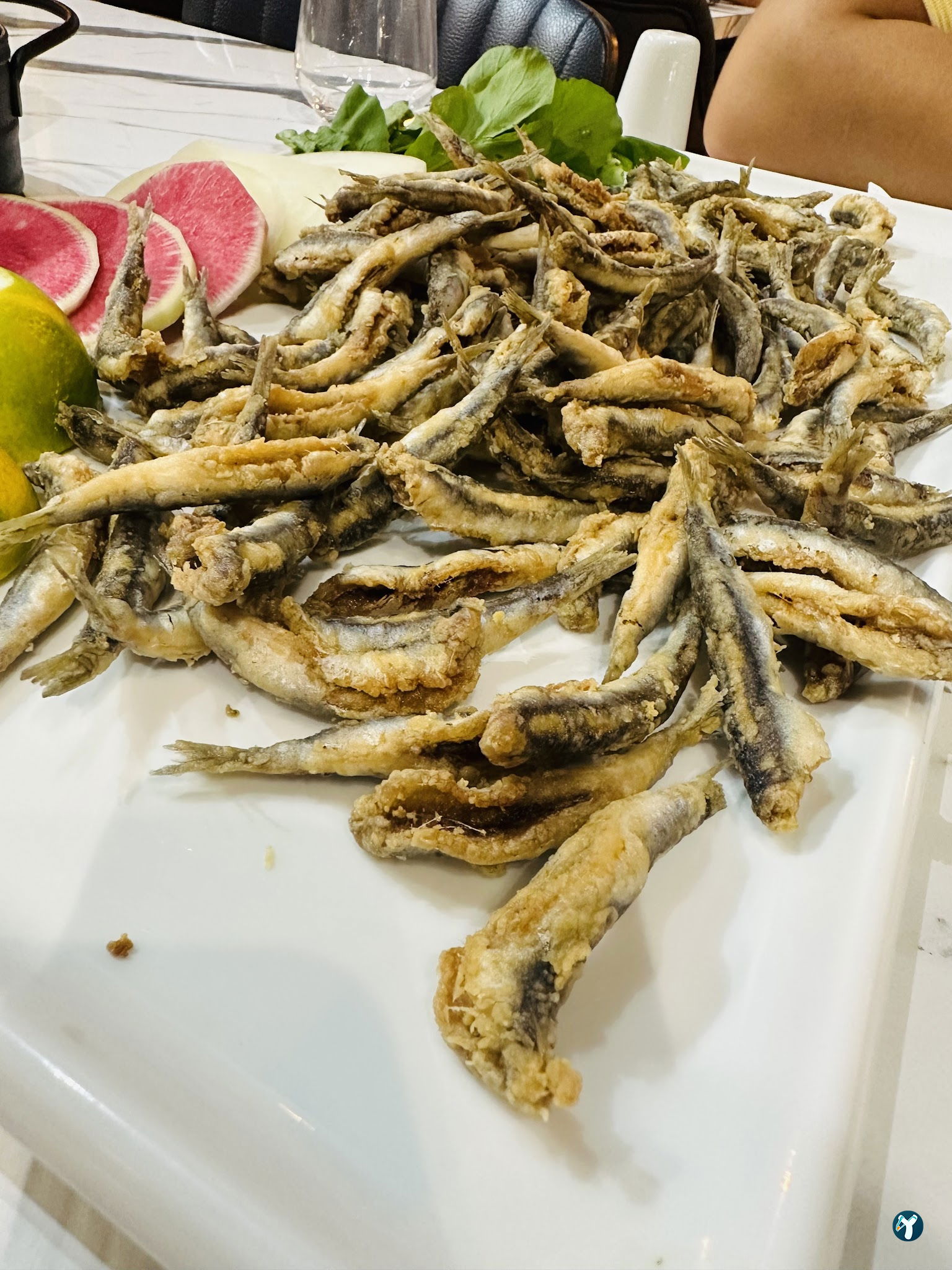 Alara Balık Express